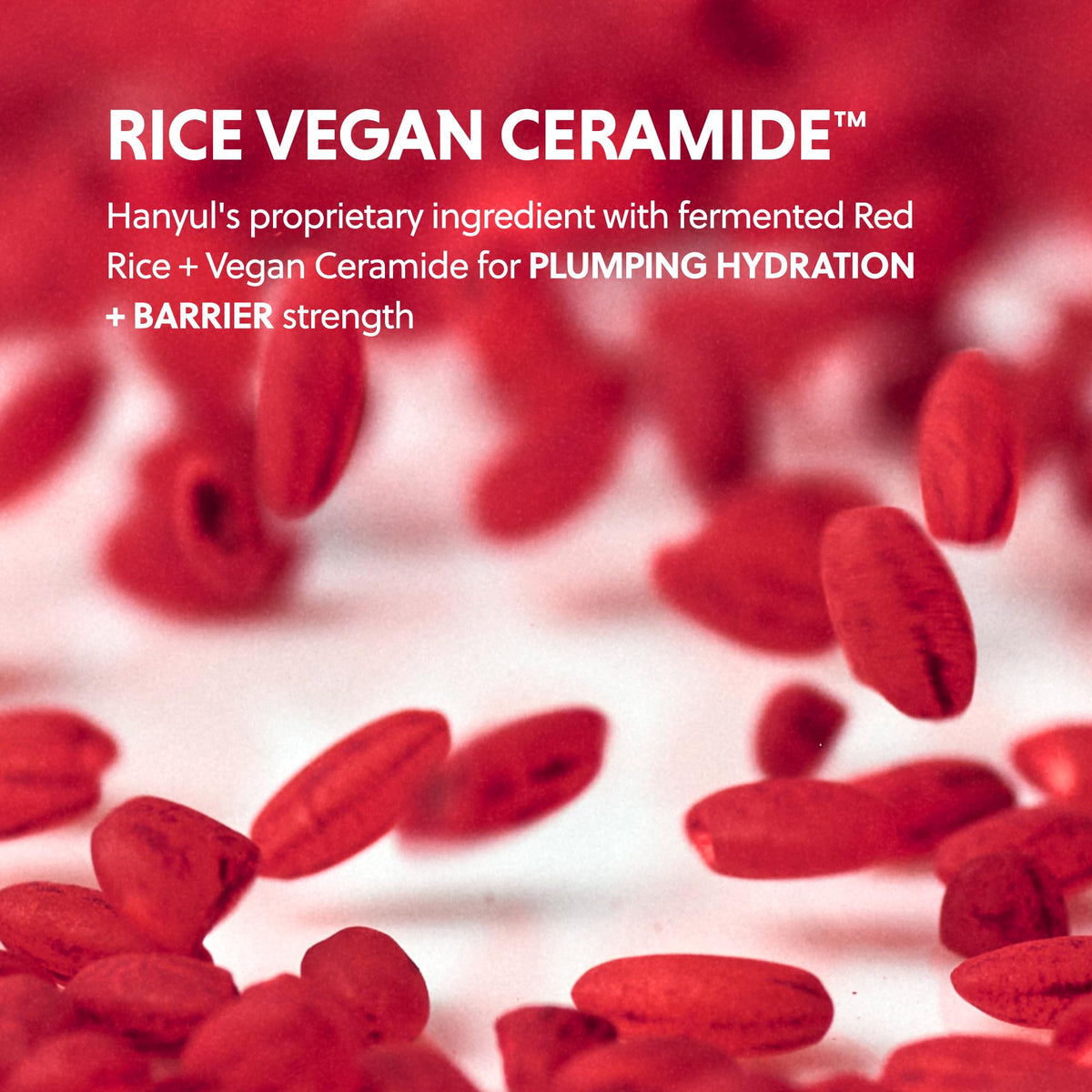 Hanyul Red Rice Hydrating Cream with Fermented Rice Extract & Ceramides | Korean Moisturizer for Plumping Hydration, Radiant Skin Glow, Firming & Barrier Support | For All Skin Types | Vegan